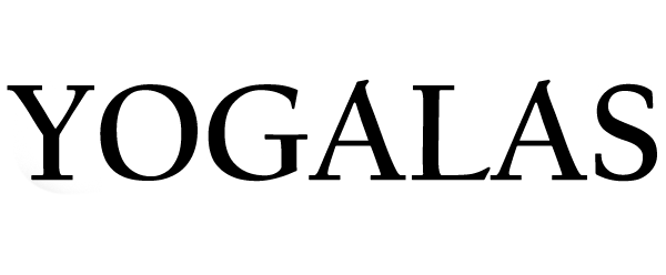 ElderFlexStudio Logo