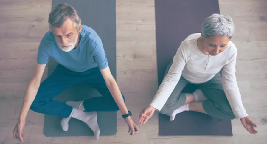 senior stretching exercises gentle movements
